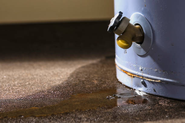 Best Fire Damage Restoration  in Morgantown, WV
