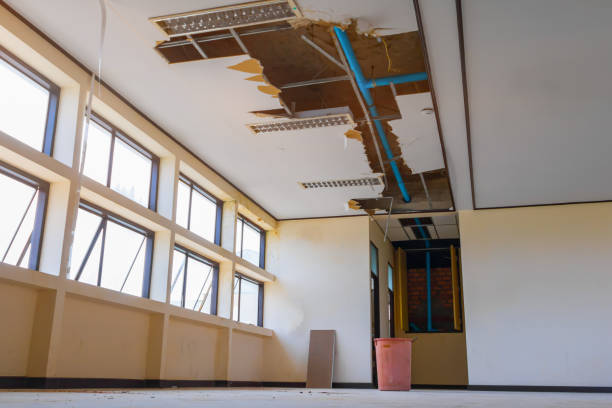 Best 24-hour water damage restoration  in Morgantown, WV