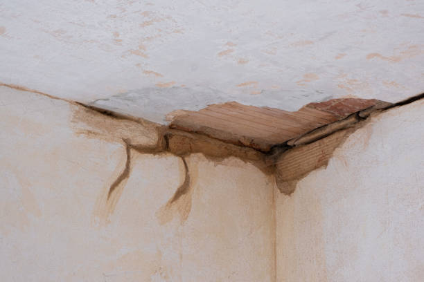 Best Flood damage cleanup  in Morgantown, WV