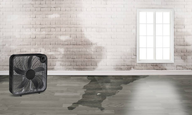 Best Water damage restoration services  in Morgantown, WV