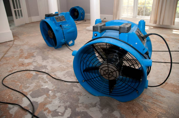 Best Local water damage restoration  in Morgantown, WV