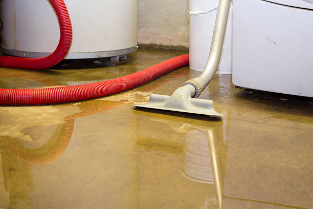 Best 24-hour water damage restoration  in Morgantown, WV