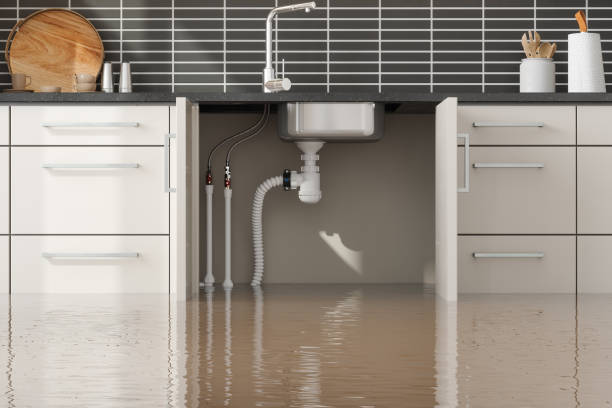 Best Local water damage restoration  in Morgantown, WV